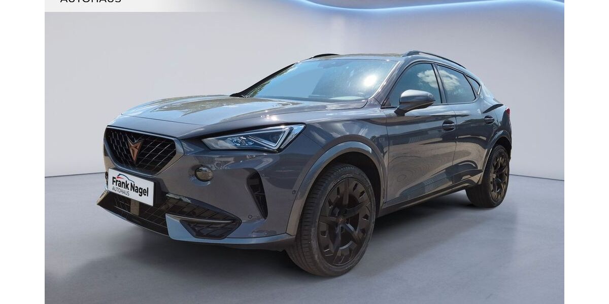 Cupra Formentor 116.500 km 21.490 &euro; Rostock 18106